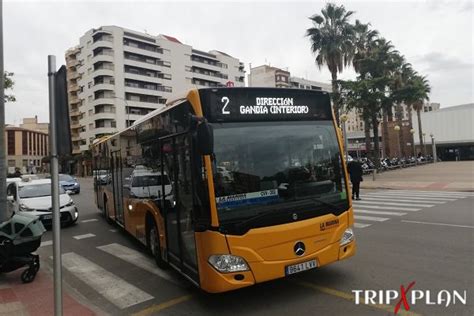 Bus Seville to Gandia 